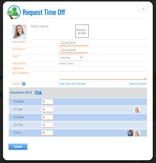 screenshot of BizRun HR